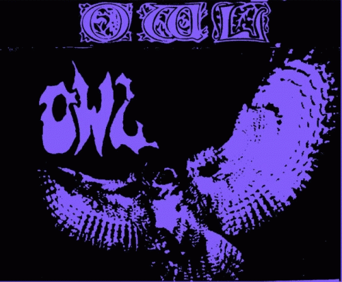 Owl (USA) : Demo 2010